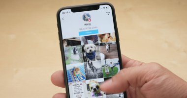 Hong Kong, Hong Kong - 05 Mart, 2018: iphonex köpek hashtag ile kullanan kişi