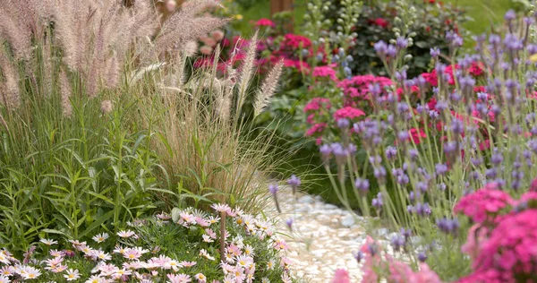 Bellissimo Parco Giardino Strada Pietra — Foto Stock