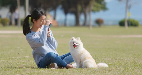 Mujer Tomando Fotos Con Perro —  Fotos de Stock