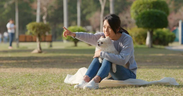 Söt Pomeranian Hund Med Sällskapsdjur Ägare Med Utomhus Park — Stockfoto