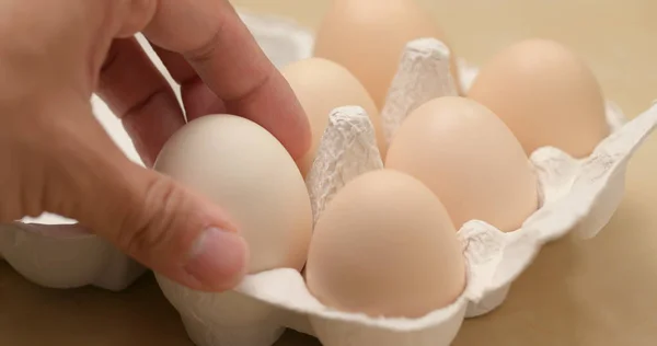 Выбери Одно Куриное Яйцо — стоковое фото