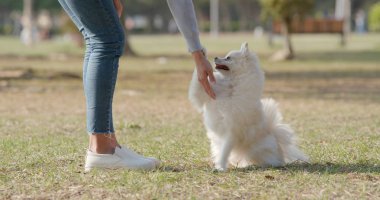 Onu köpek parkındaki kadın trende