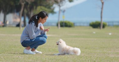 Kadın köpeğini aperatif açık park ile eğitim 