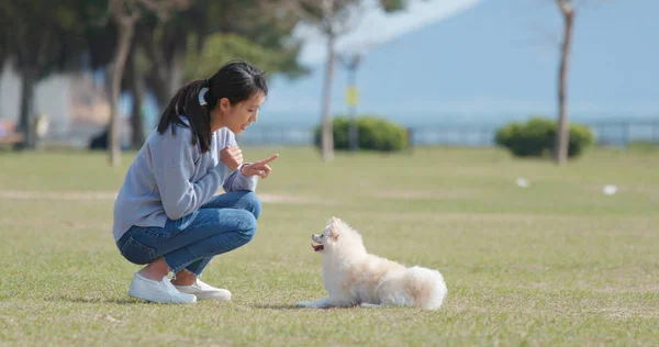 Frau Trainiert Mit Hund Mit Imbiss Freibad — Stockfoto