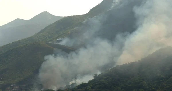 Fire Disaster Mountain — Stock Photo, Image