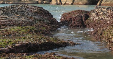 Kıyı şeridi dalga ile taş yakın çekim