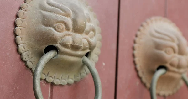 Рукоятка Двери Статуи Льва — стоковое фото