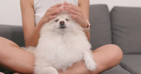 Toque Mulher Com Cão Pomerânia — Fotografia de Stock