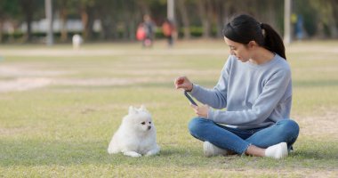 Kadın alarak resmi köpeğini açık park için 