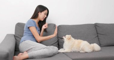 kadın köpeği eğitimi 