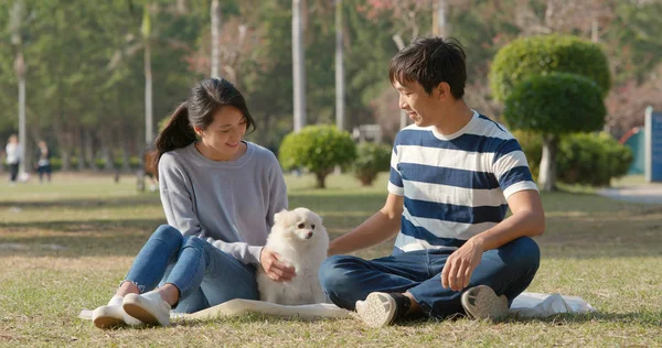 公園で犬と家族 — ストック写真