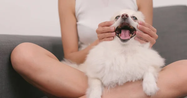 Frau Mit Pommernhund Angefasst — Stockfoto