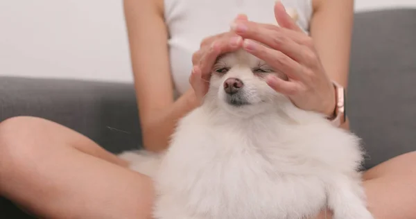 Mulher Toque Seu Cão Pomerânia — Fotografia de Stock