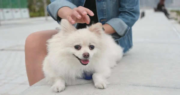 屋外での彼女の犬と遊ぶ女性 — ストック写真