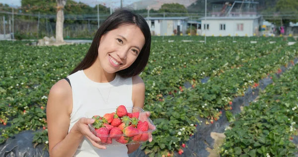 フィールドでのイチゴの収穫を保持している女性 — ストック写真