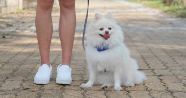 Kadın köpeğini çıkıyor 