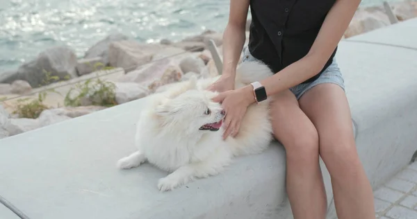 Власник Домашніх Тварин Масажує Білого Португальського Собаку Відкритому Повітрі — стокове фото