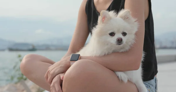 야외에서 Pomeranian 강아지와 소유자 — 스톡 사진