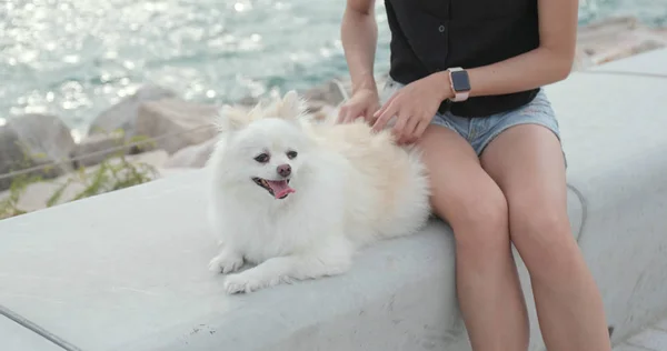 야외에서 그녀의 강아지와 — 스톡 사진