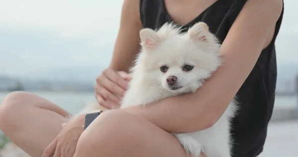 Sällskapsdjur Ägare Röra Vita Pomeranian Hund Utomhus — Stockfoto