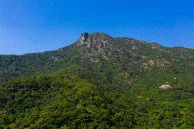 Hong Kong aslan dağı. 