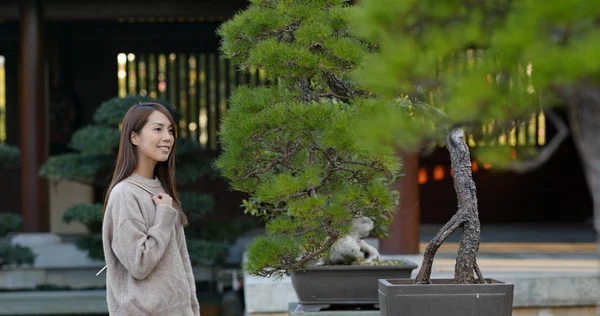 Mulher visita jardim estilo chinês — Fotografia de Stock