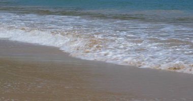 Okyanusta kumsal dalgası