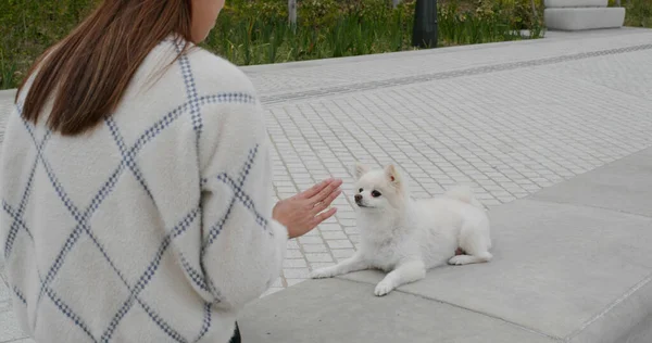 Mulher Treinar Seu Cão Livre — Fotografia de Stock