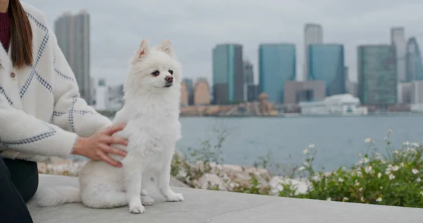 Kvinna Krama Sin Vita Pommerska Hund Utomhus — Stockfoto