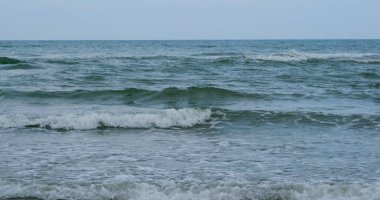 Sahilde büyük bir deniz dalgası