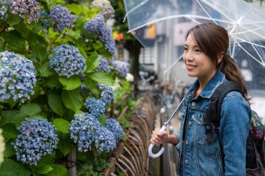 Kadın ortanca bahçesine bak.