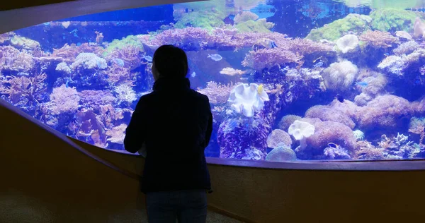 Femme Visite Aquarium Dans Parc Zoologique — Photo