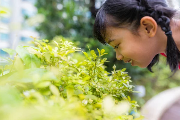 少女は緑の植物を見て — ストック写真
