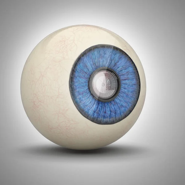 眼球の瞳孔の中ズーム レンズ — ストック写真
