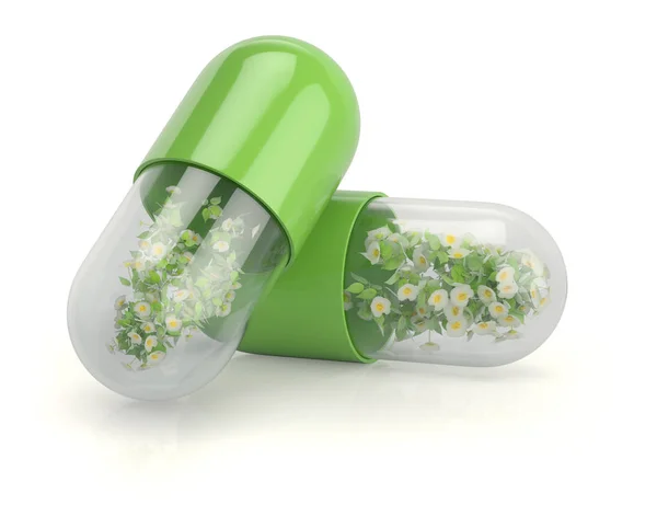 Medical capsules with herbal plants Royalty Free Stock Images