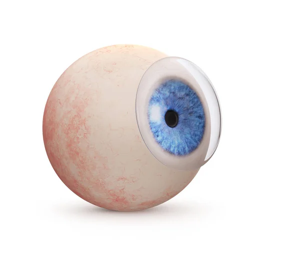 Глазное яблоко с контактными линзами — стоковое фото