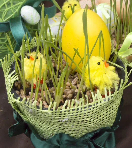 Pâques. Poulets autour d'un œuf de Pâques peint — Photo