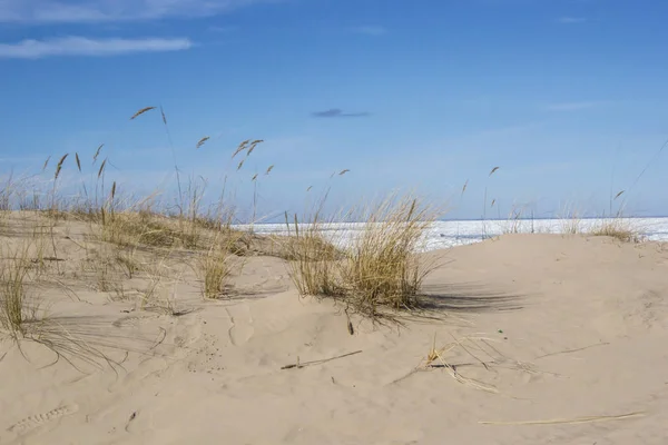 Dünen im frühen Frühling in Jurmala Stockbild