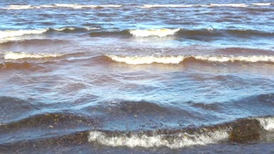 Dalgalar rüzgarlı havalarda kıyıya yakın ve Baltık Denizi üzerinde