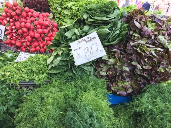 Latvia Spring Sale First Fresh Herbs Dill Parsley Radish Market — Stock Photo, Image