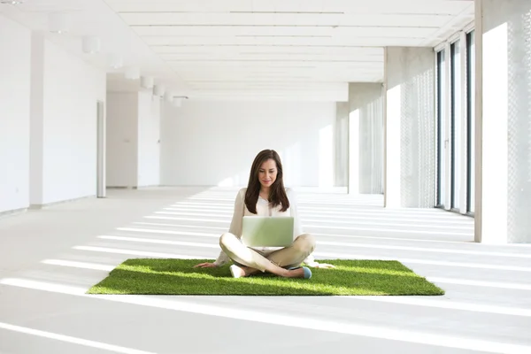 Jonge zakenvrouw met laptop zitting op gras — Stockfoto