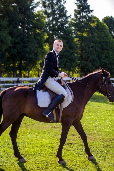 Man riding horse on field — ストック写真