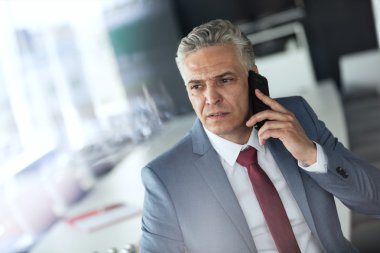 Olgun iş adamı cep telefonuyla konuşuyor. 