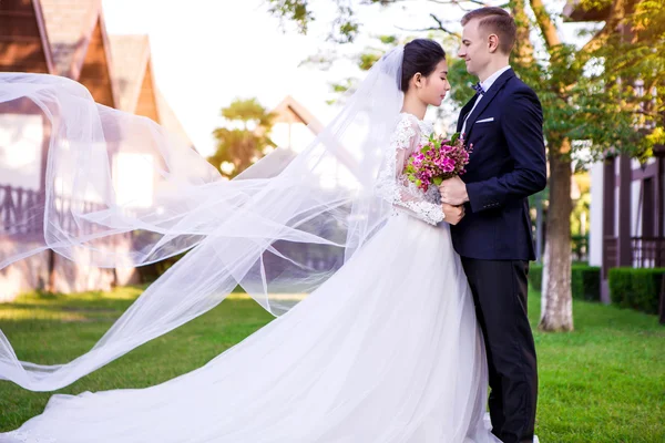 Pareja de boda en el césped —  Fotos de Stock