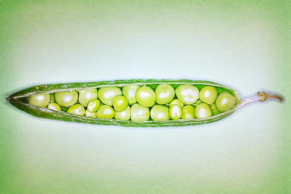 Offene Erbsenschote mit Erbsen im Inneren — Stockfoto