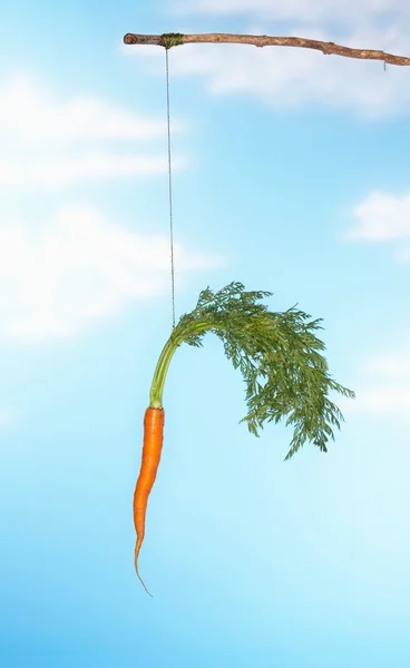 Dangling Carrot From Stick — Stock Photo, Image