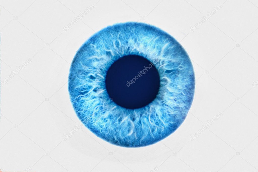 beautiful blue eye 