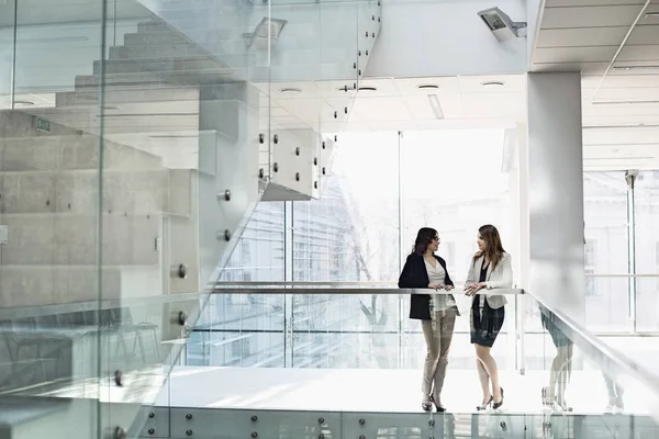 Ofiste konuşuyorlardı iş kadınları