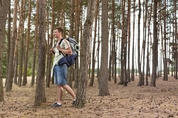 Masculino mochilero trekking en bosque — Foto de Stock