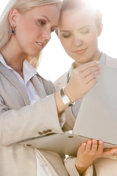 Jonge vrouwelijke ondernemers met behulp van laptop — Stockfoto